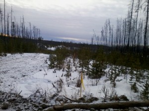 Photo0122