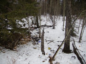 Garbage in trees.